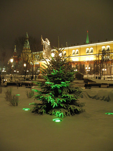 Елка в Александровском саду зимой с видом на Аресенальную башню