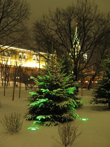 Елка в Александровском саду зимой с видом на Троицкую башню